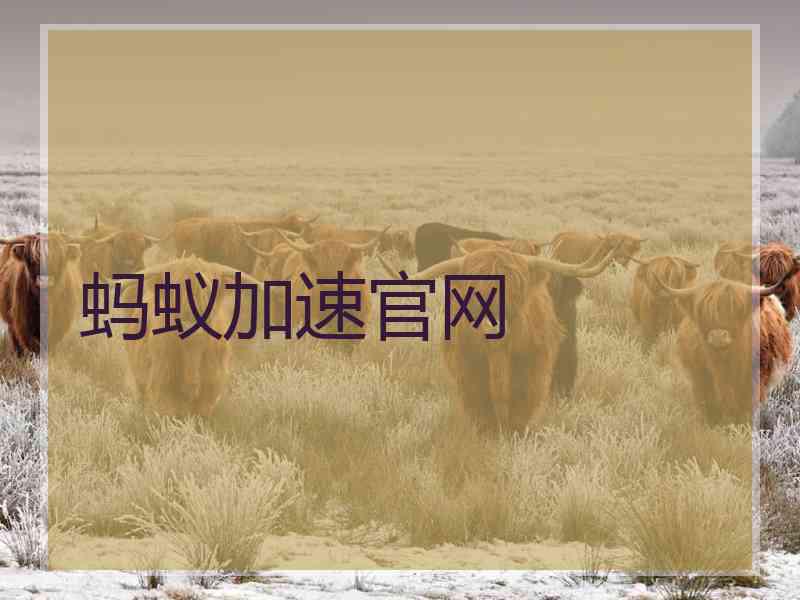 蚂蚁加速官网