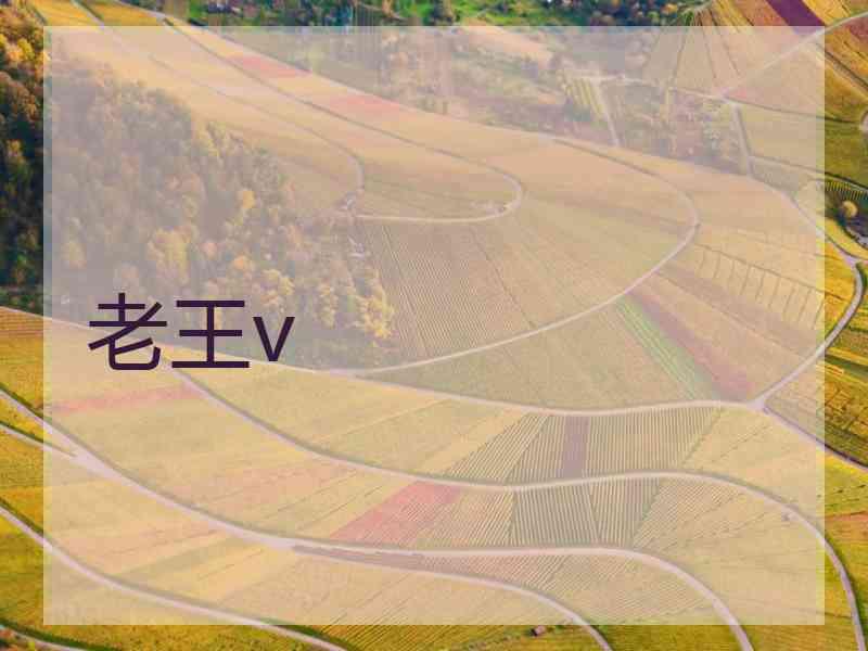 老王v