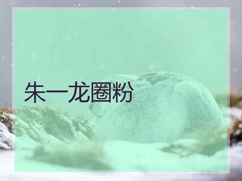 朱一龙圈粉