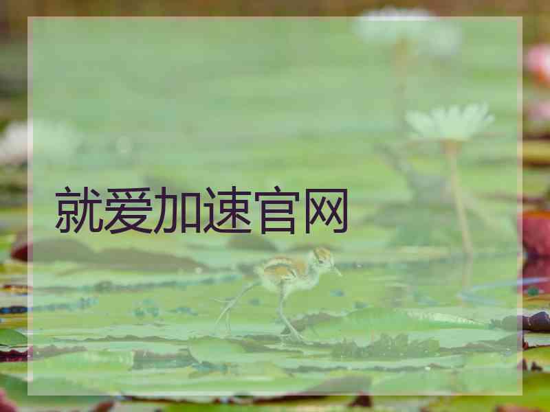 就爱加速官网