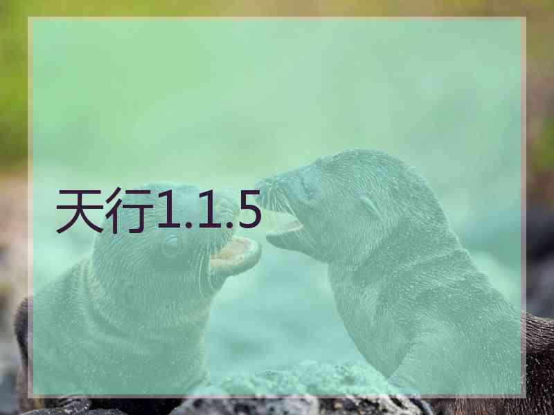天行1.1.5
